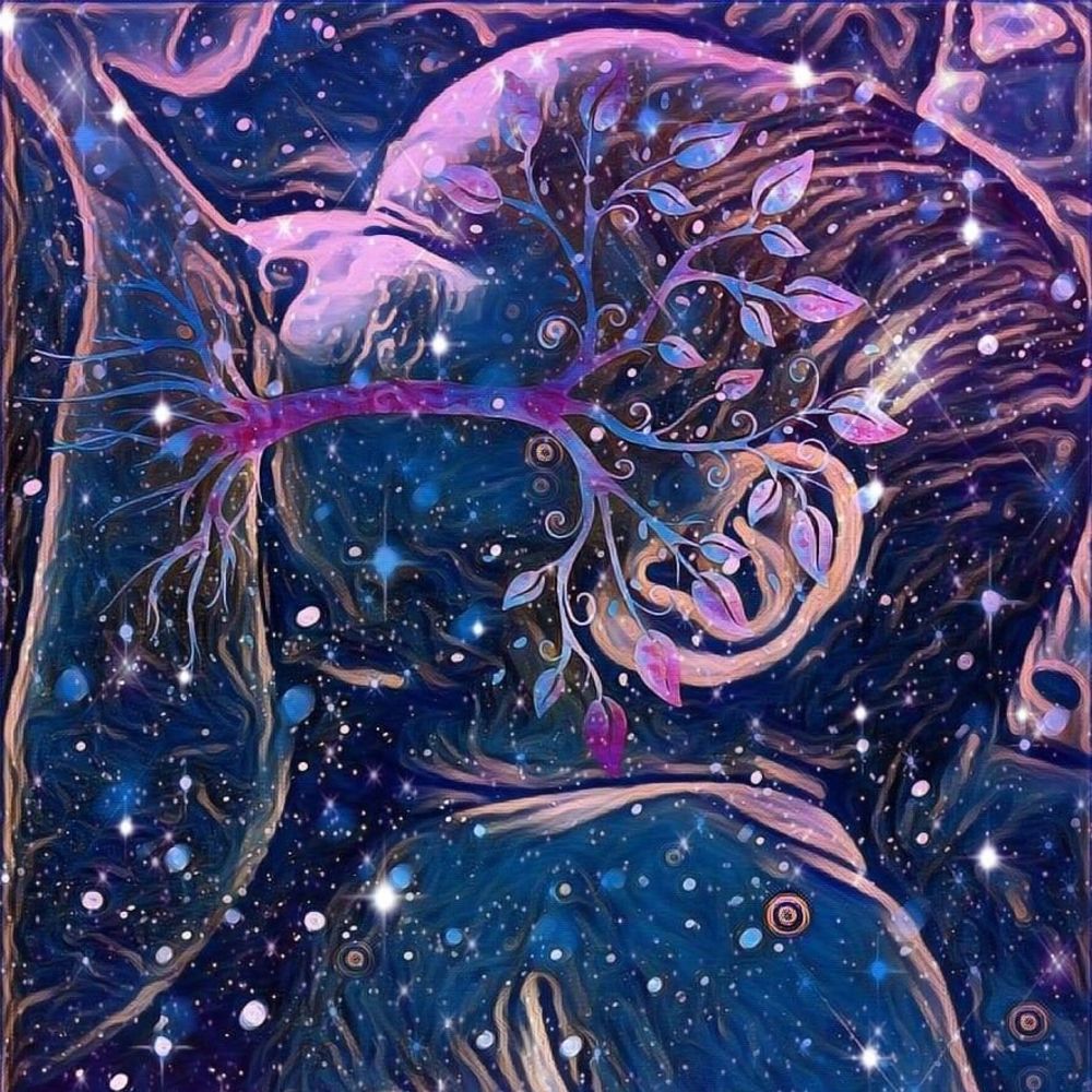 Meet your Posher, Stormie